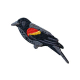 Bird Collective Red-Winged Blackbird