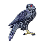 Bird Collective American Goshawk Patch