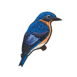 Bird Collective Eastern Bluebird Patch