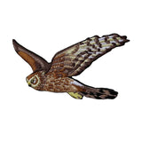 Bird Collective Northern Harrier Patch