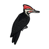 Bird Collective Pileated Woodpecker Patch