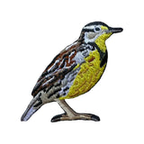 Bird Collective Western Meadowlark